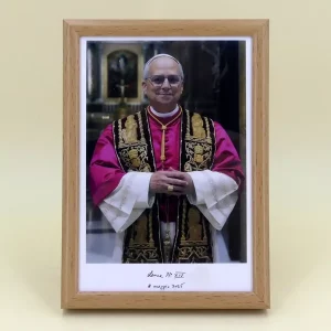 Papst Leo XIV